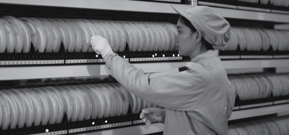 Producción